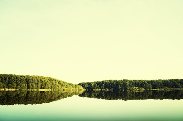 A split image showing one side with a thriving green forest (representing environmental health due to regulations) and the other side with a polluted industrial landscape (representing the potential without environmental regulations).